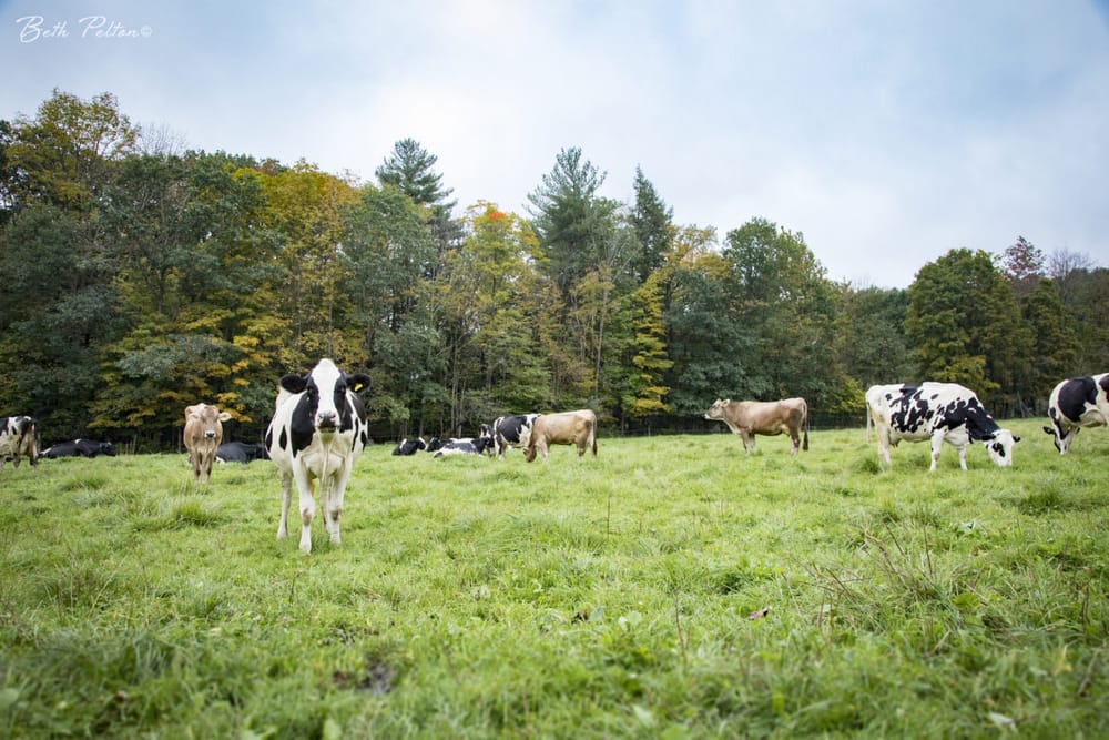 What’s a NH farmer to do about climate change? post image