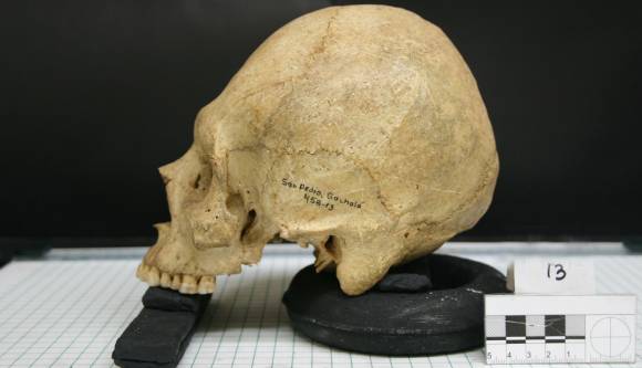 Feb 4: Science on Tap at Stark Brewing Co. explores forensics post image