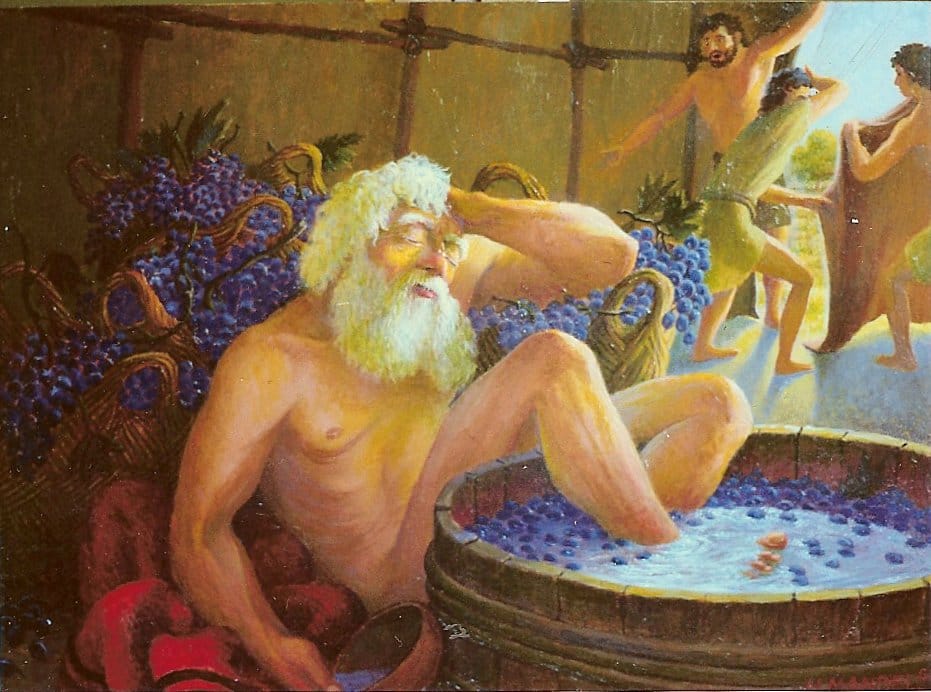 Part 2: Noah in the grapes post image