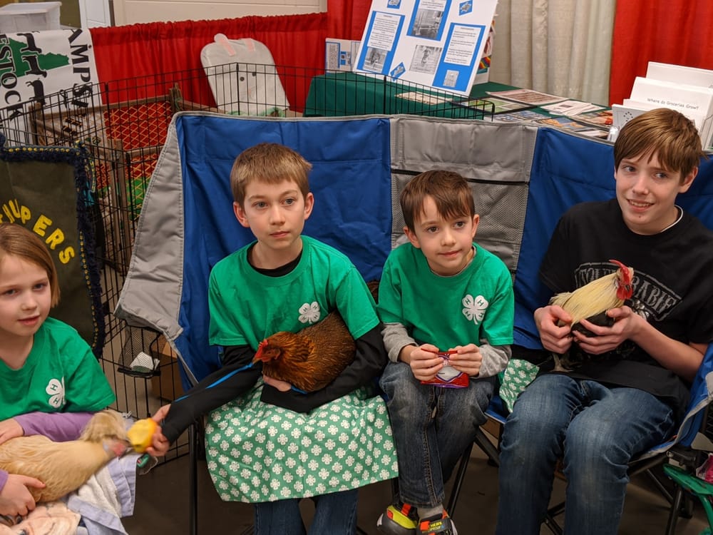 Hot chicks, bees knees, alpacas and more at annual NH Farm, Forest and Garden Expo post image