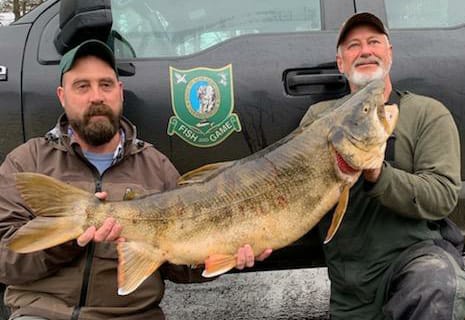 Enormous trout reeled in, breaks 62-year record post image