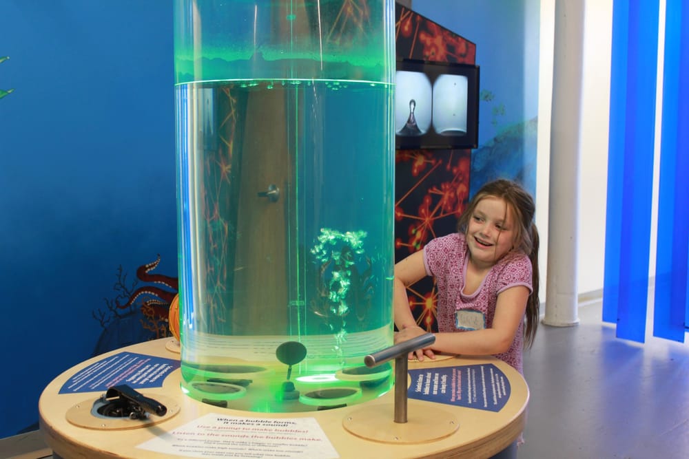 SEE Science Center prepares for reopening on weekends starting Aug. 1 post image