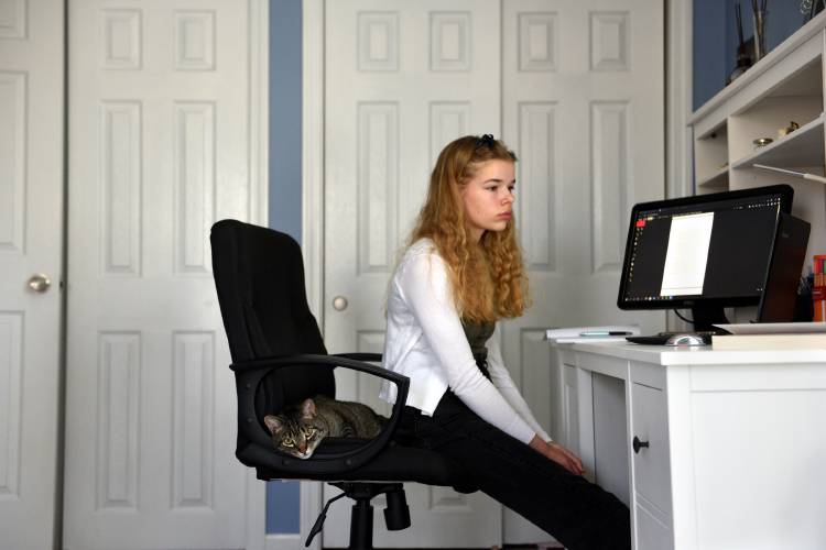 Districts had trouble tracking student progress remotely post image