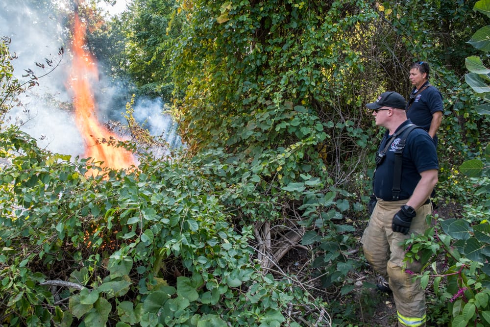Brush fire at homeless camp on March Avenue post image