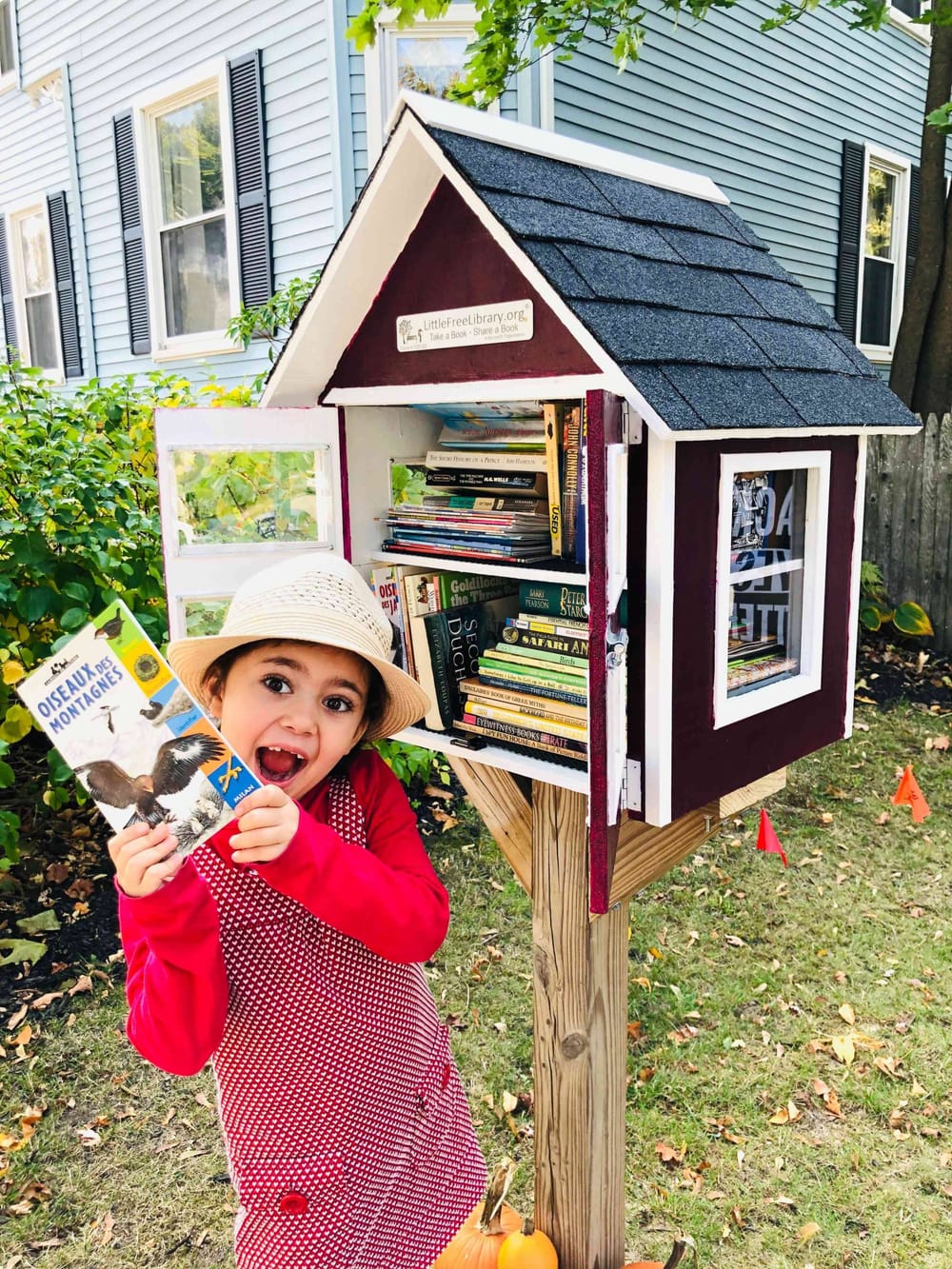 Little Free Libraries, where you don’t need a card and there’s never a fine post image