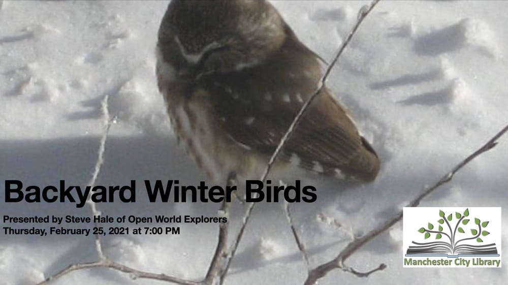 Feb. 25: Everything you need to know about winter backyard birds with naturalist Steve Hale post image
