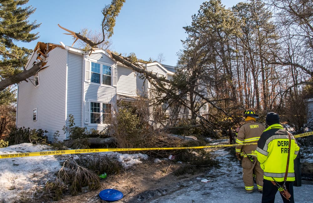 Trees downed by wind in Derry and Londonderry create risky situations post image