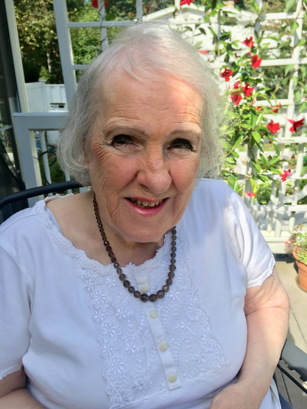 “She was kind of like our Granny D:’ Londonderry Democratic matriarch Anne Warner dies at 77 post image