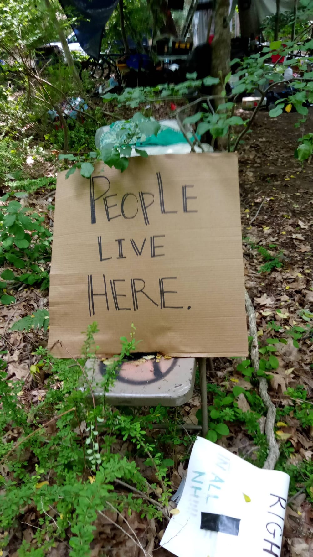 Douglas Street sweep was 11th eviction of homeless camps by city in 7 months post image