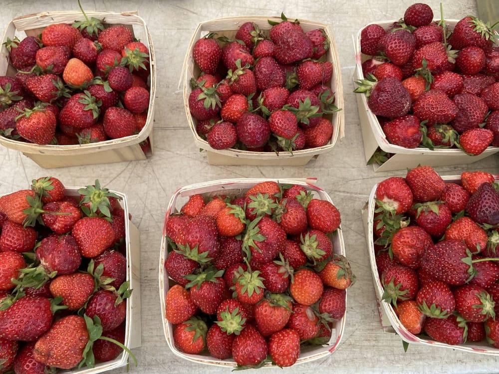 Summer Farmers Market returns to Victory Park every Thursday, ribbon-cutting set for June 24 post image