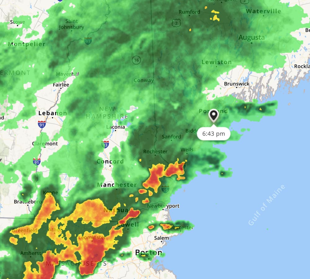 It’s raining (Fisher) Cats and (Sea) Dogs in Maine post image