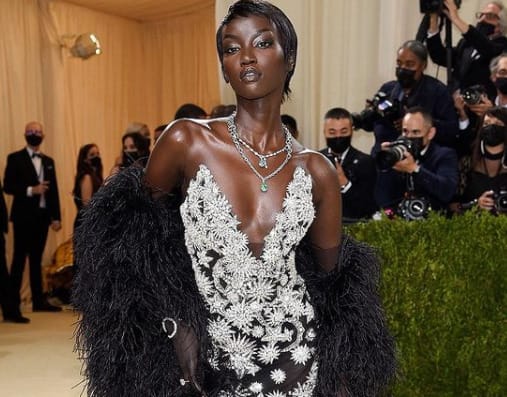Manchester at the Met: West grad turned model and Vogue cover girl Anok Yai makes big splash post image