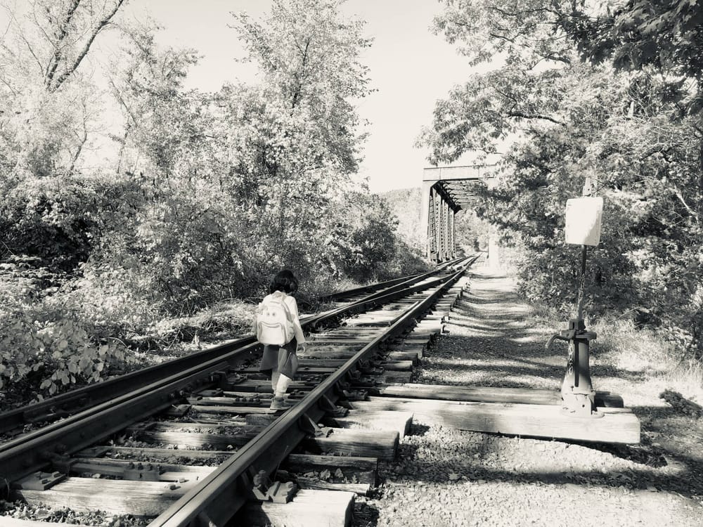 Ghost Whisperer:  A little girl, some twigs and a message from beyond post image