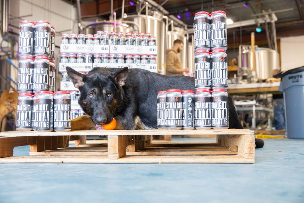 Oh the weather outside is frightful, but the beers are so delightful… post image