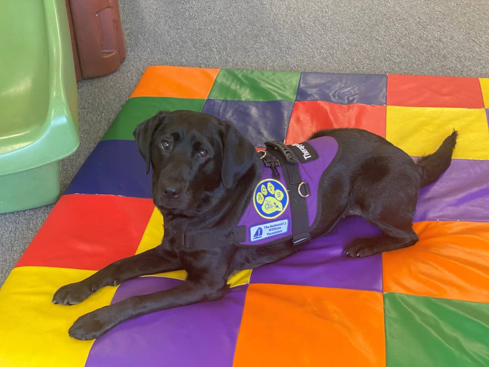 Freesia, a very good dog, inspires donation to her NH trainers post image