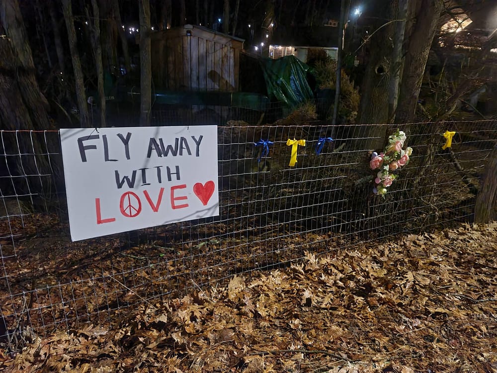 State to euthanize about 80 sanctuary farm birds after avian flu deaths post image