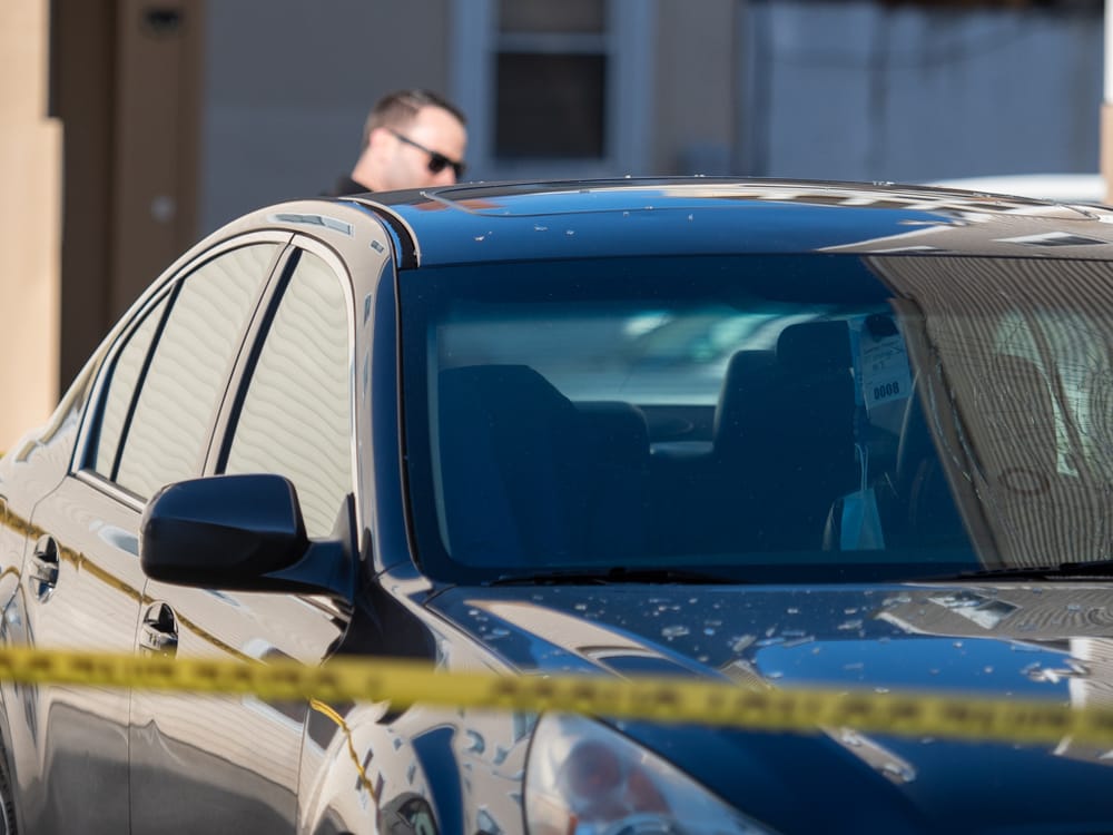 Court documents: Dog shot, killed during dispute over $300 loan post image