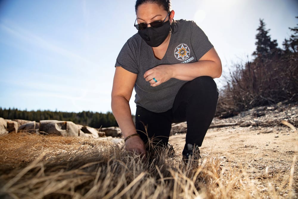 Indigenous heritage projects at UNH and UMaine among 80 national grant winners post image
