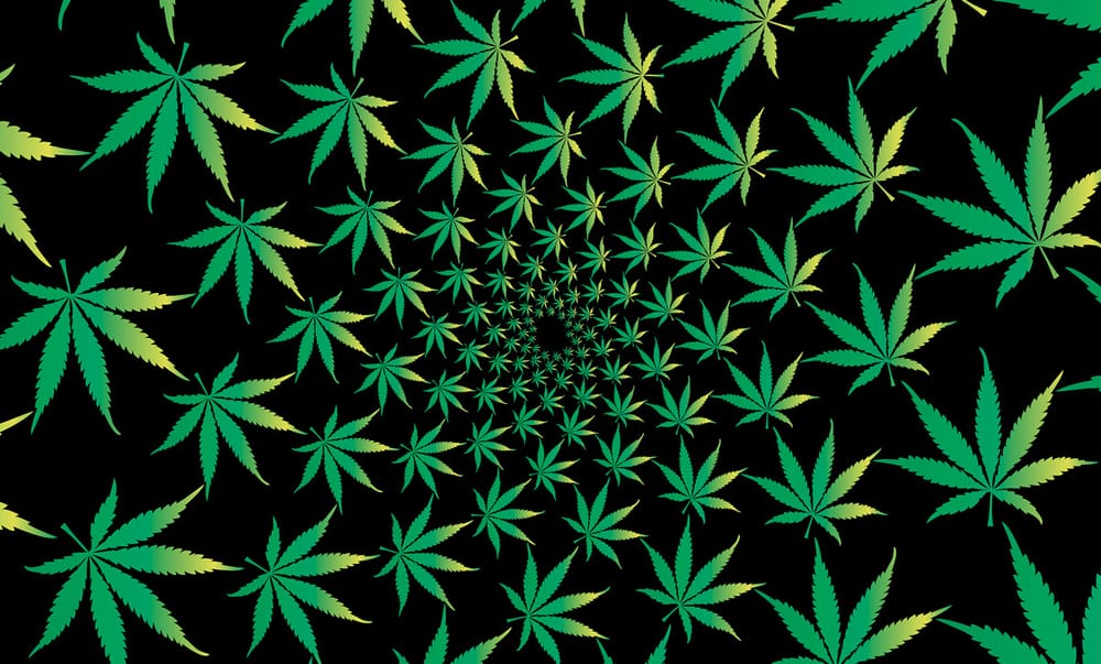 New Hampshire’s chance to finally go green is with HB 1598 post image
