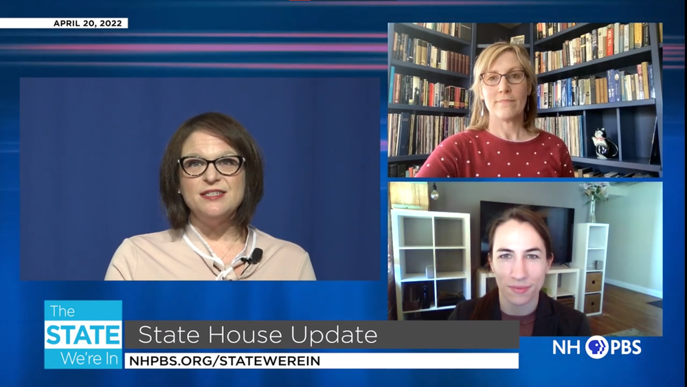 The State We’re In: NH State House update with Anna Brown and Annmarie Timmins post image