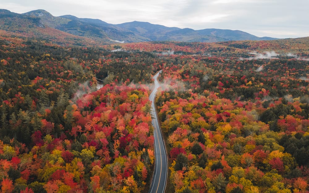 A request for ‘Leaf Peepers’ post image