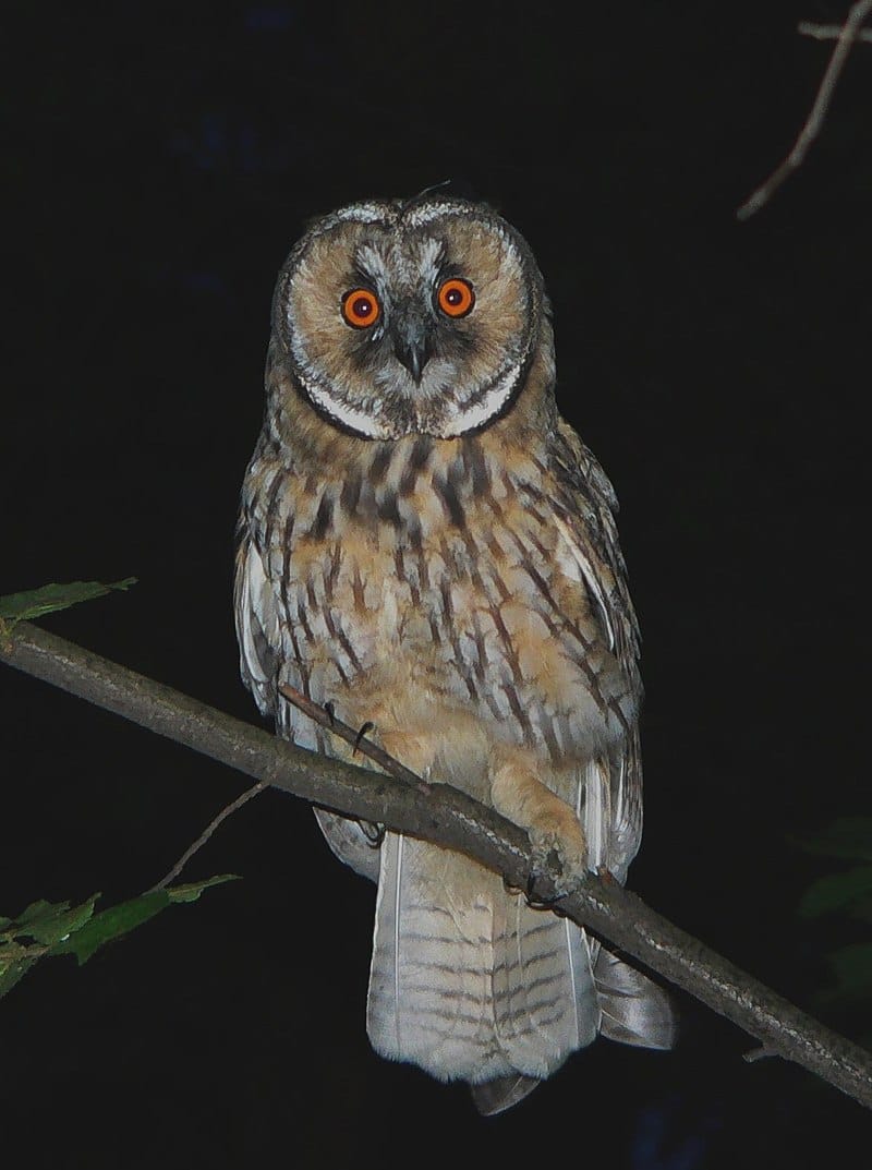Acquainted with the night post image