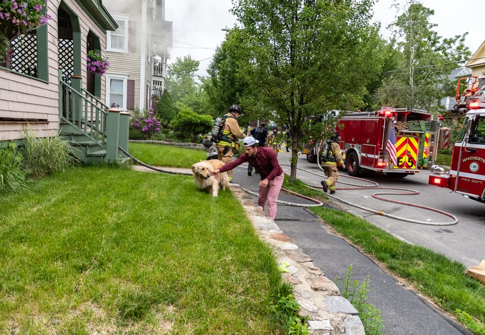 Pets rescued from house fire on North Adams Street post image