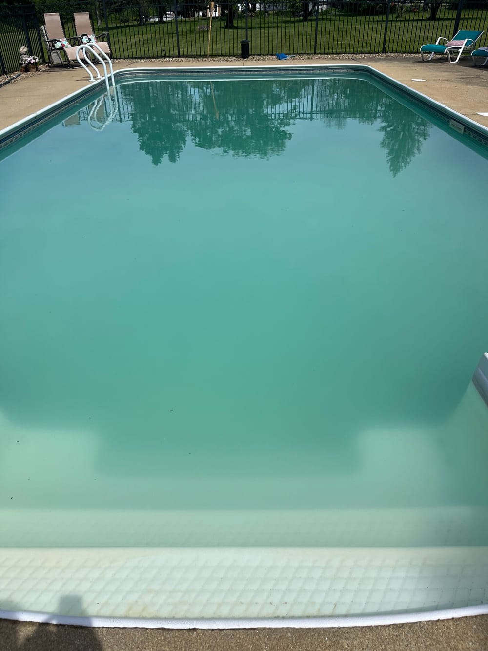 Help! Seeking clarity before pool season ends post image