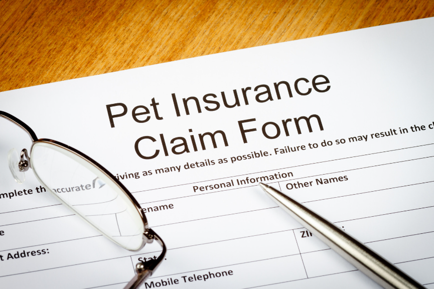 Regulators caution that pet health insurance really isn’t health insurance, it’s property insurance post image