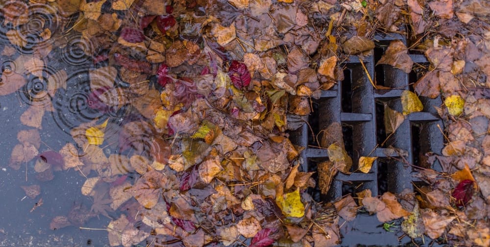 Flood Watch in effect through Saturday – clear your storm drains post image