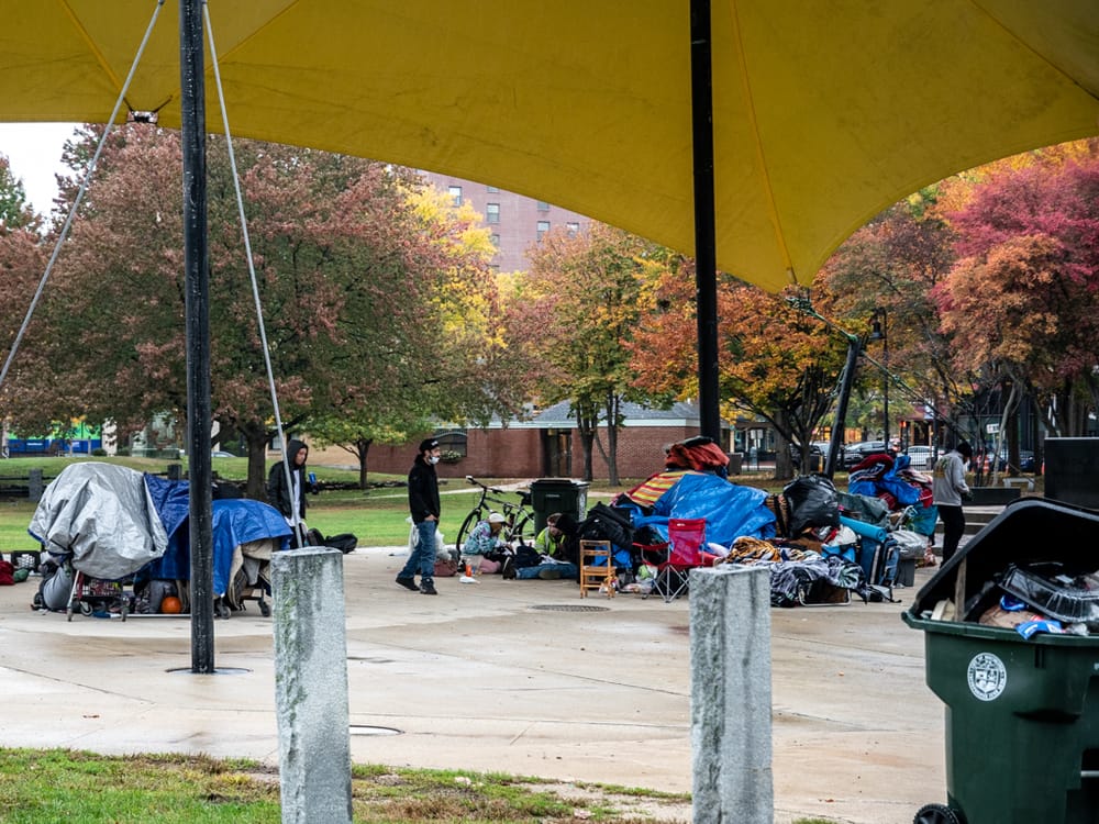Demonstration followed by contentious meeting at City Hall over public parks ordinance post image