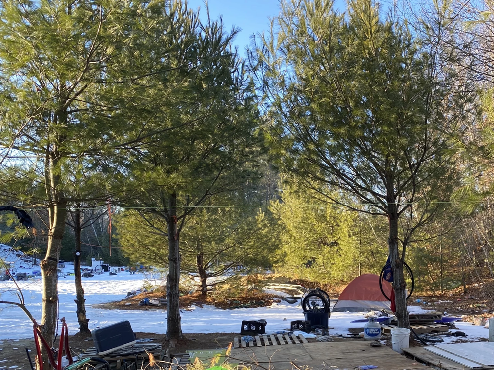 As winter settles in New Hampshire, unhoused look for warm places to stay post image