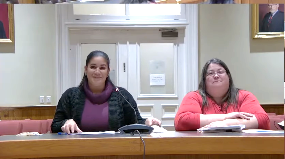 Child advocate: Protecting at-risk children requires more staff, funding post image