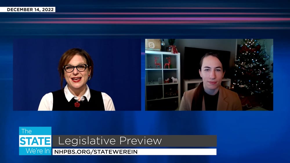 NH Legislative Preview: A Q&A with Anna Brown of Citizens Count post image