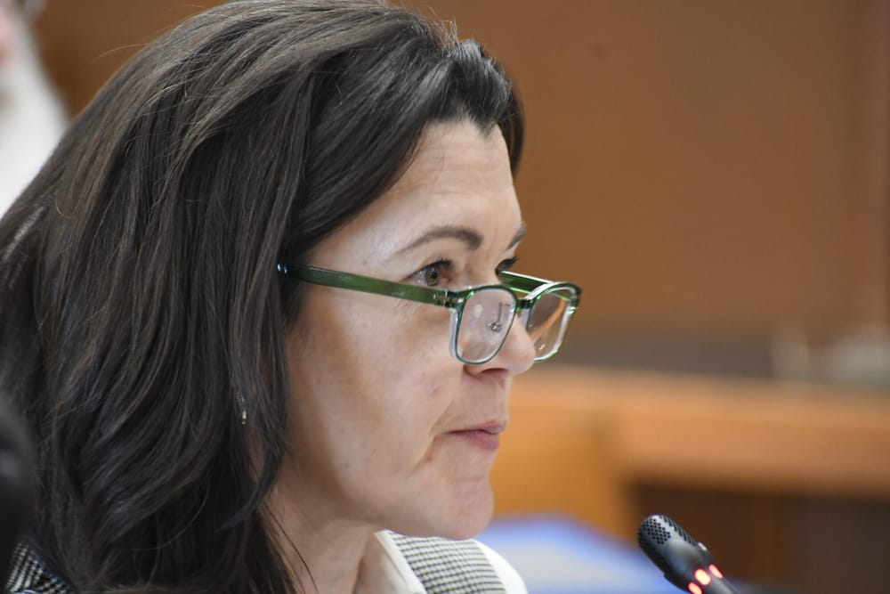 Telerski named as NH DVCC Chair post image