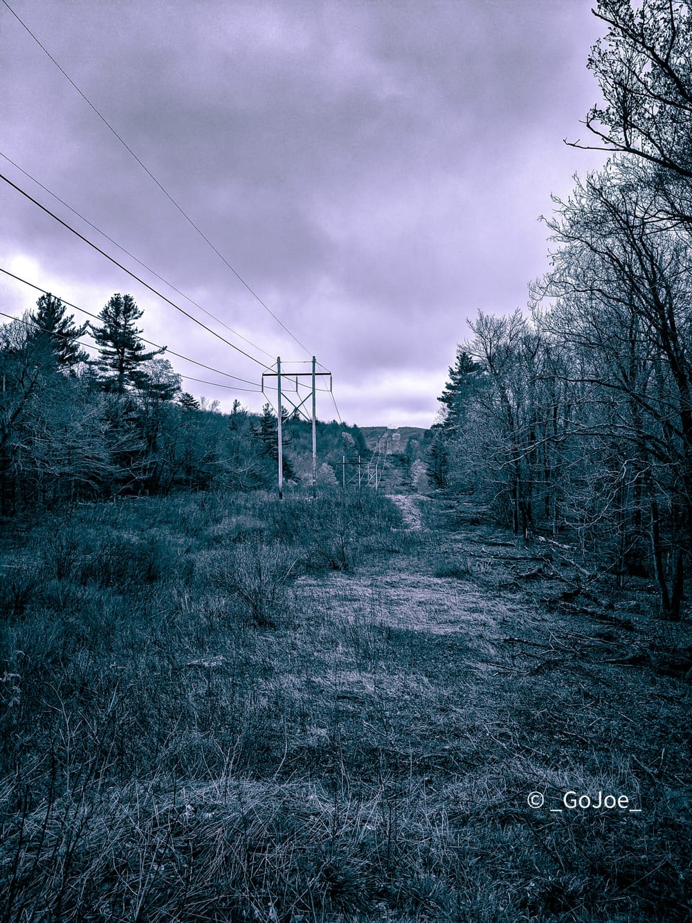 Artists Muse: Joe Dakin on Climate Change, ‘As a Seed’ post image