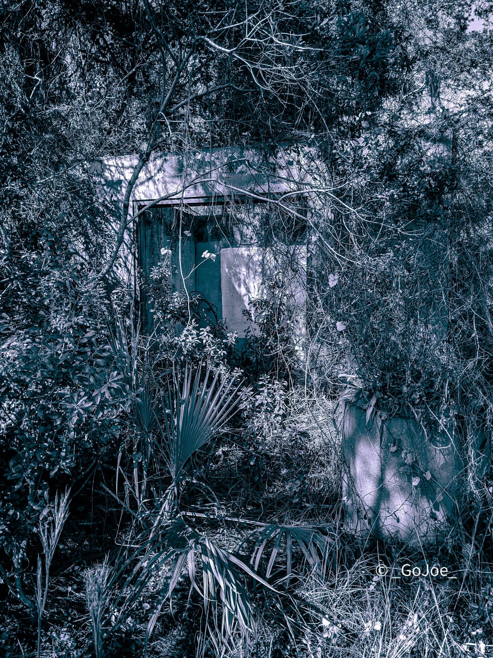 Artists Muse: Climate Change post image