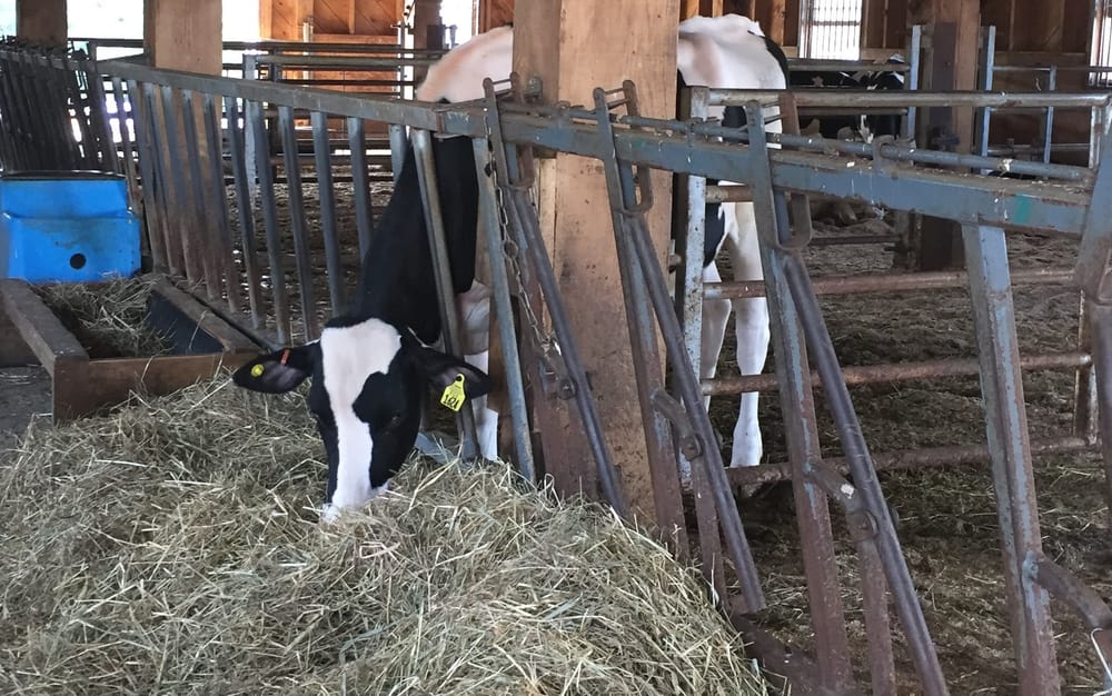 New Inflation Adjustment Act boost will help NH farmers make climate-friendly upgrades post image
