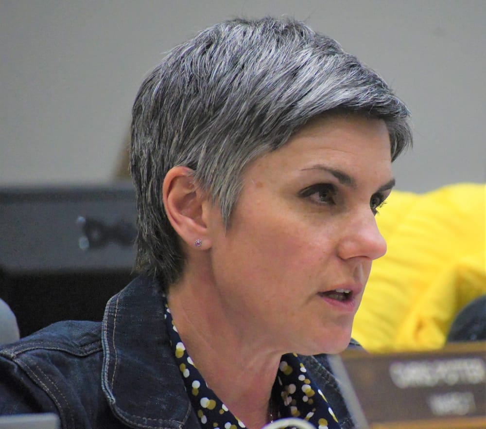 Committee recommends tax cap plus ‘additional needs’ budget to full school board post image