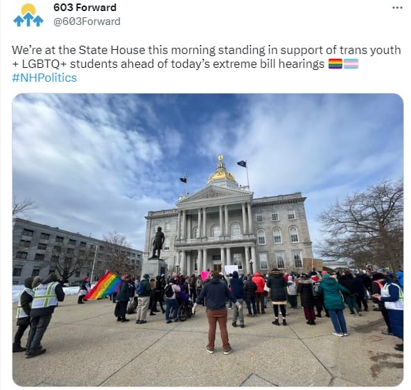 Point of View: NH lawmakers take part in national effort to ‘eradicate transgenderism’ post image