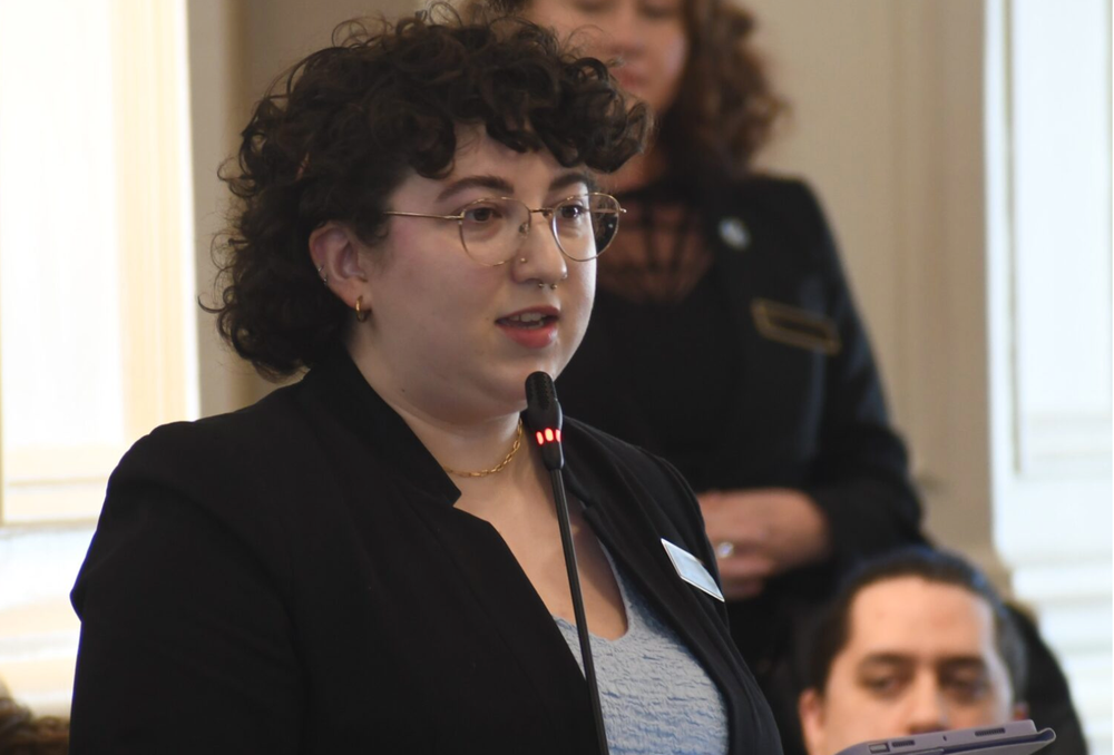 Legislators hear testimony on bill prohibiting youth gender transition procedures post image
