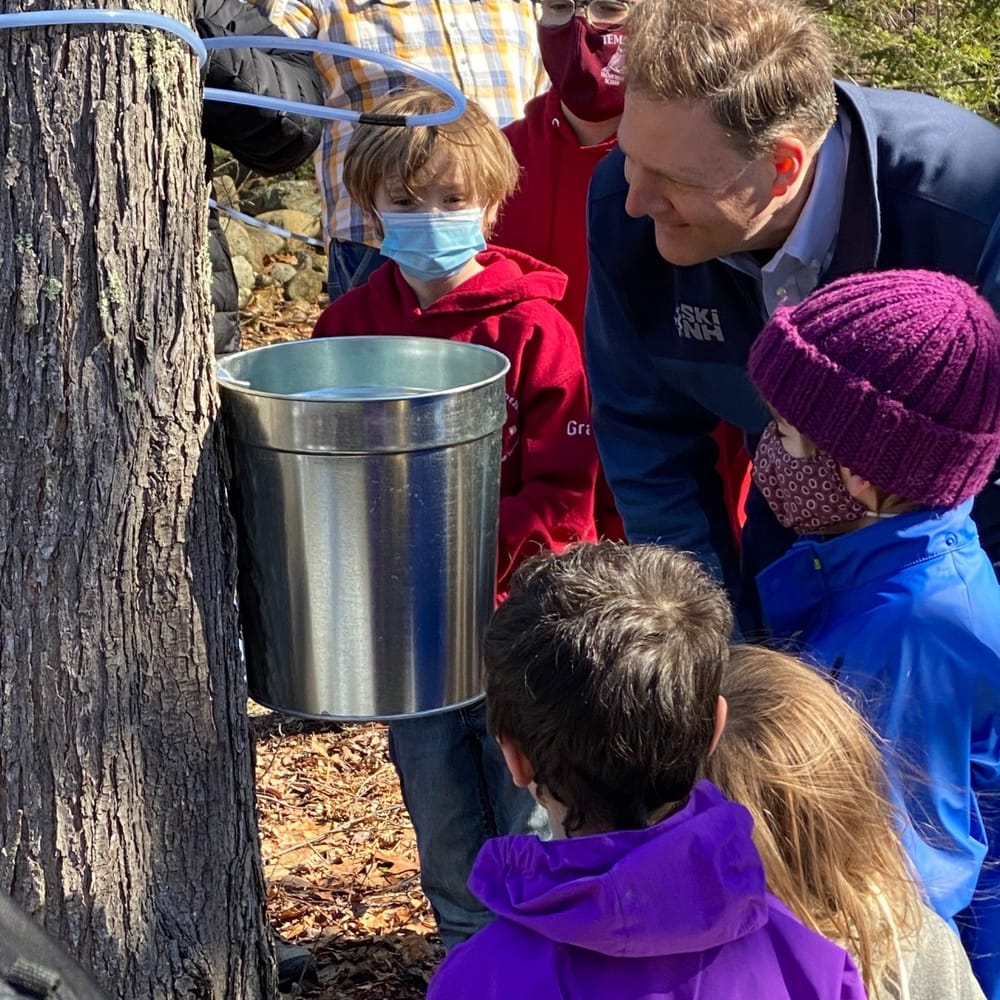 As the sap stops running, the Maple Syrup Inquiry gets underway post image