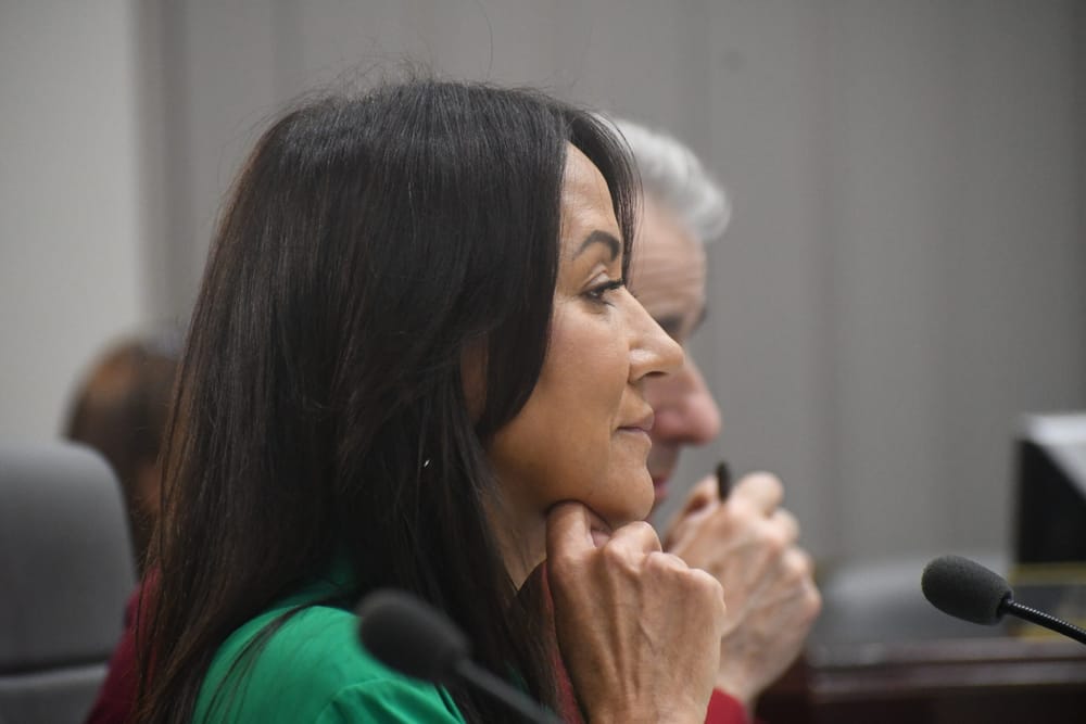 Homeless detox debate arises in Aldermanic chambers for second night in a row post image