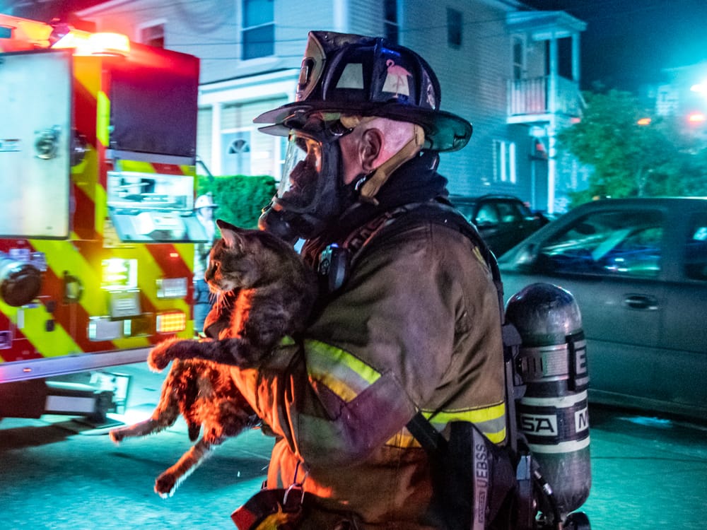 Several pets rescued from 2-alarm Pearl Street duplex fire post image