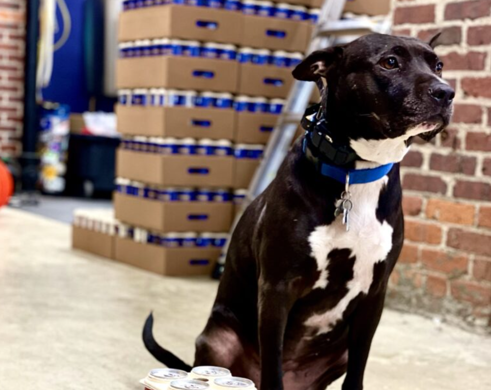 Legislative fix ends brewery dog banishment post image