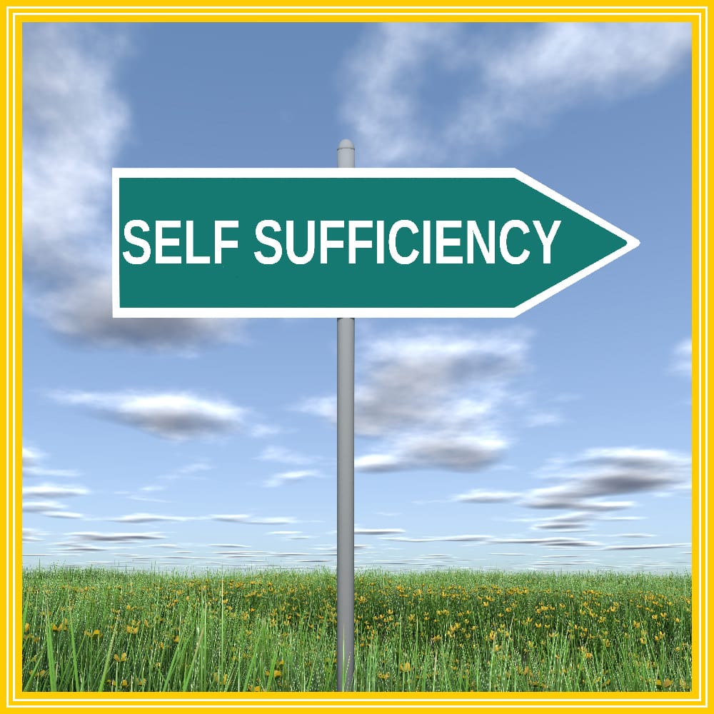 Path to self-sufficiency? post image