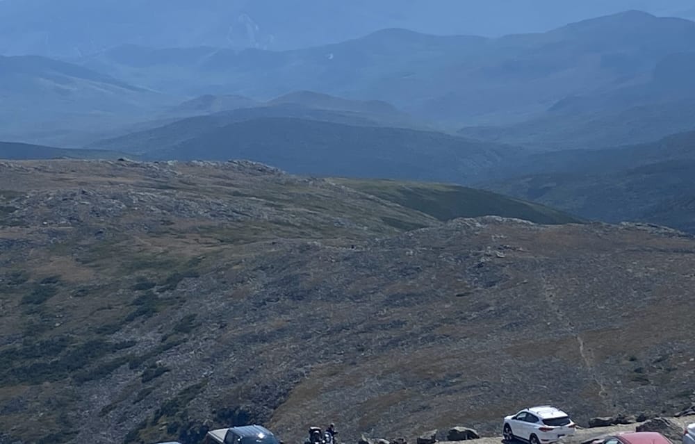 New England Wildlands report focus is on giving nature a chance post image