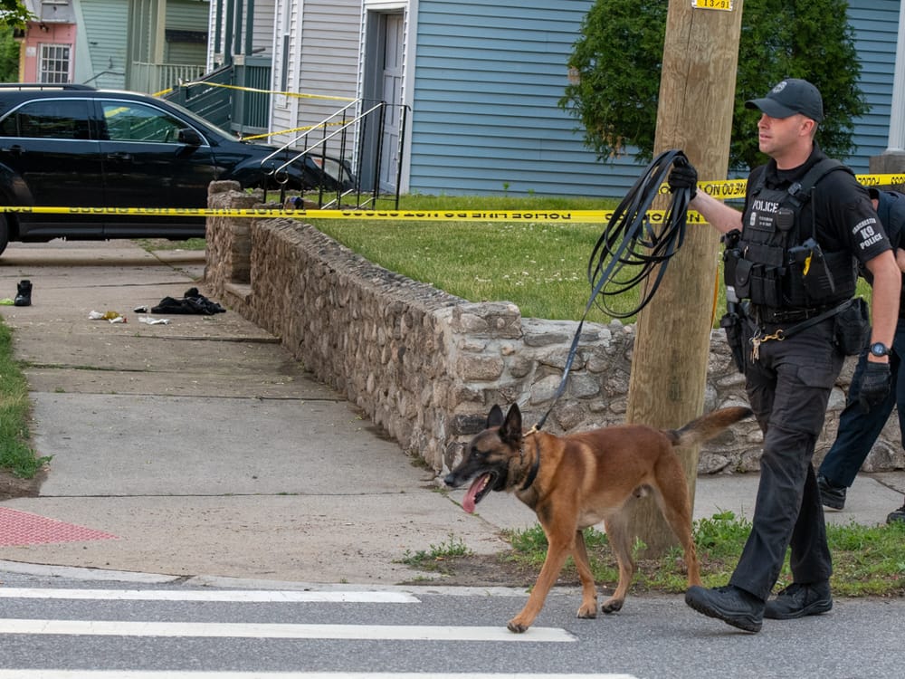 New York man arrested in connection with shooting on Orange Street that left 1 injured post image