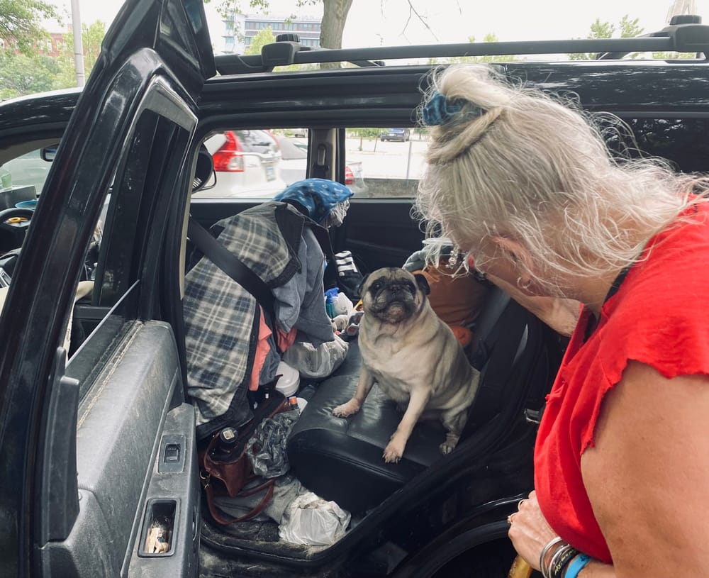 With no place else to call home, woman – and her pug – are living next to park in a Jeep post image