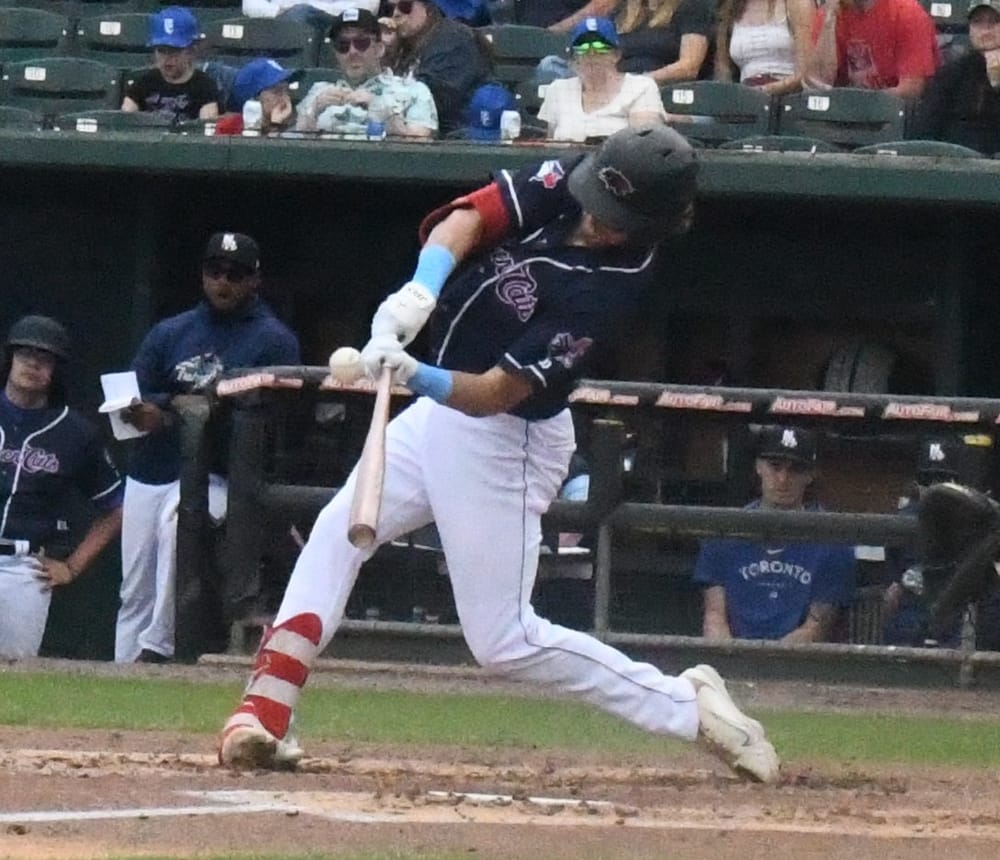 Fisher Cats can’t solve RubberDucks in series loss post image